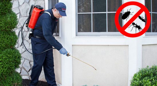 Turgutlu Dezenfeksiyon böcek ilaçlama ve haşere kontrolü — ilaclama-tr.com